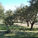 2009_portugal 217